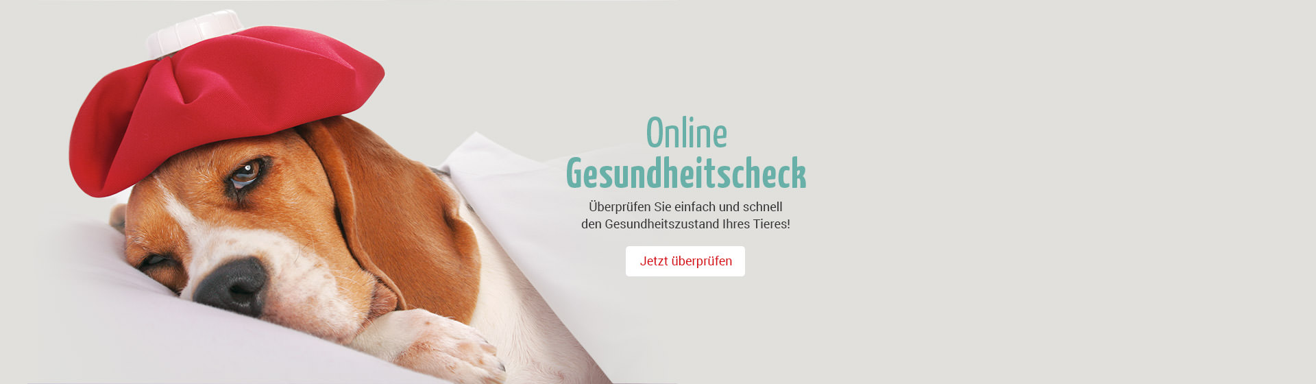 Online Gesundheits-Check