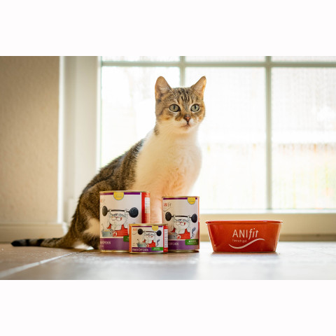 Cat Wet pet food Power Pot (Powertöpfchen) 200g 6 Piece -3- Anifit